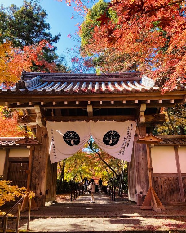 日本・京都府「関西旅行in2022秋」の写真