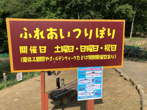 日本・茨城県「夏キャンプin2022」の写真