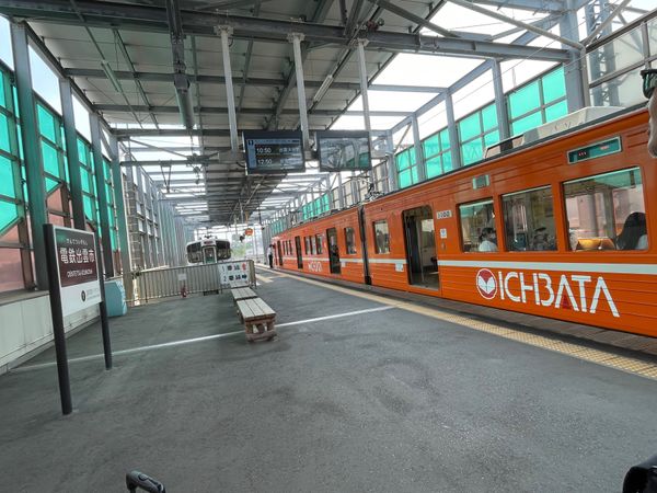 日本・島根県「結婚30周年記念出雲大社旅行」の写真