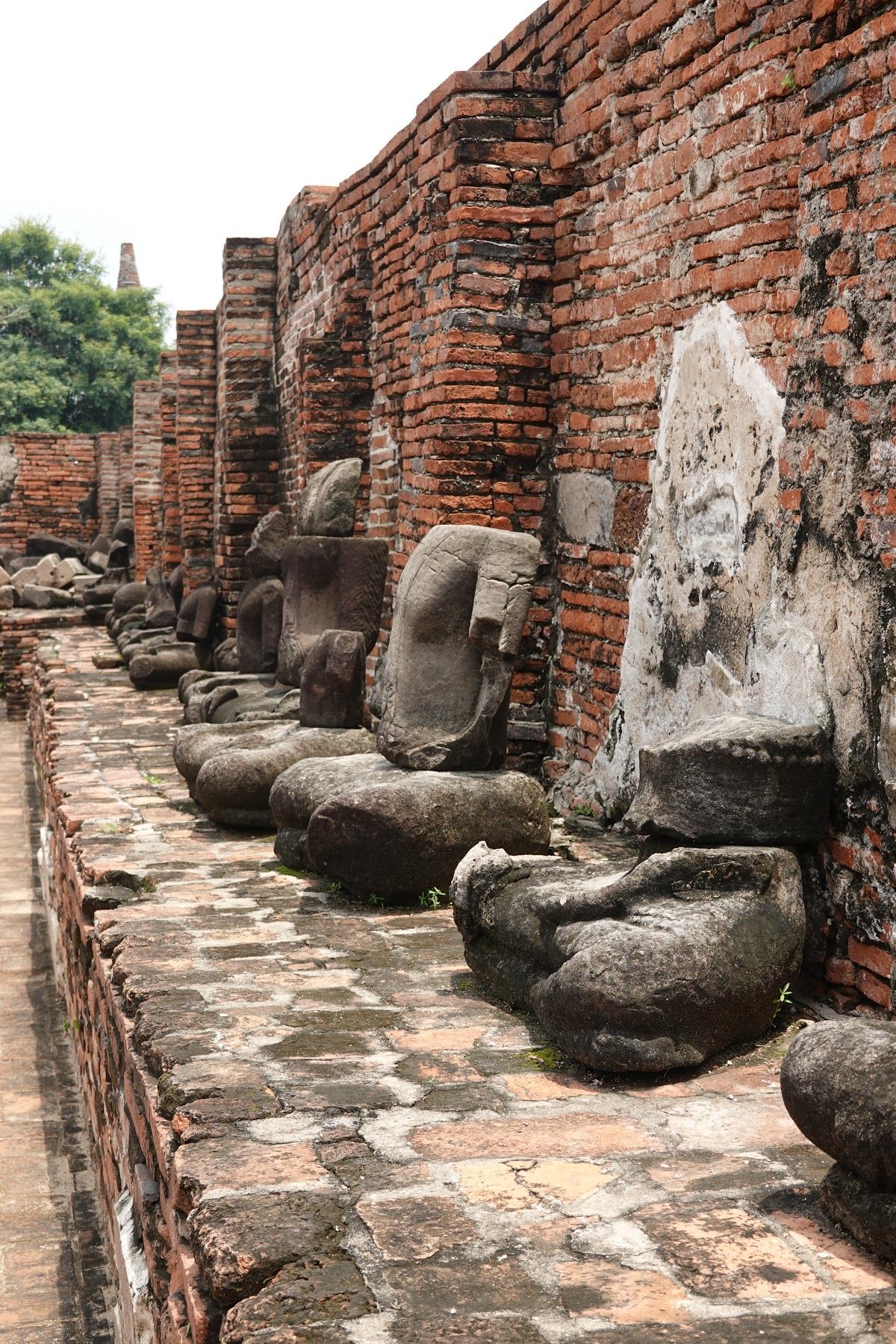ワット・マハータートの木の中にある仏像

なんでここにあるのか聞いたんだけ...