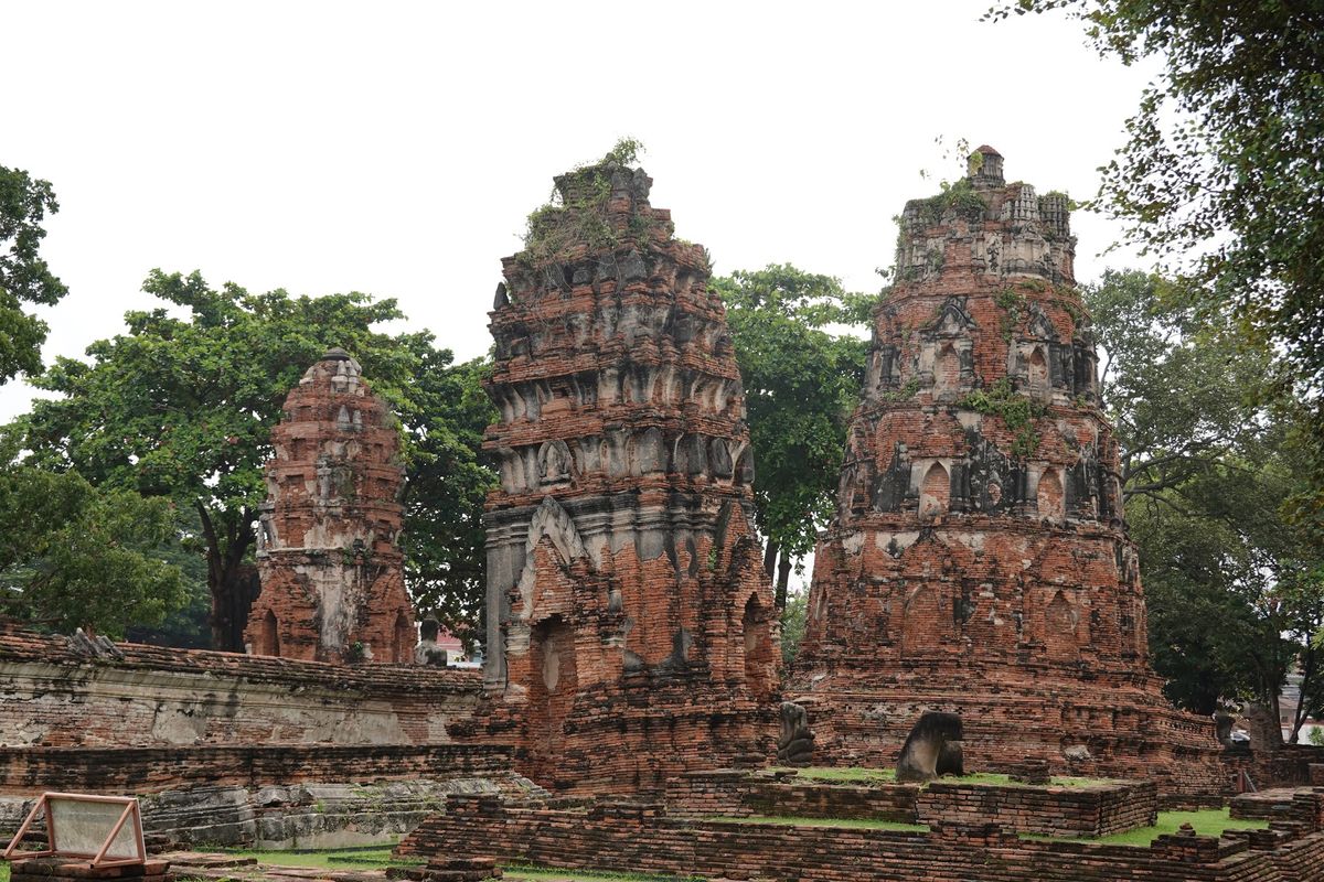 ワット・マハータートの木の中にある仏像

なんでここにあるのか聞いたんだけ...
