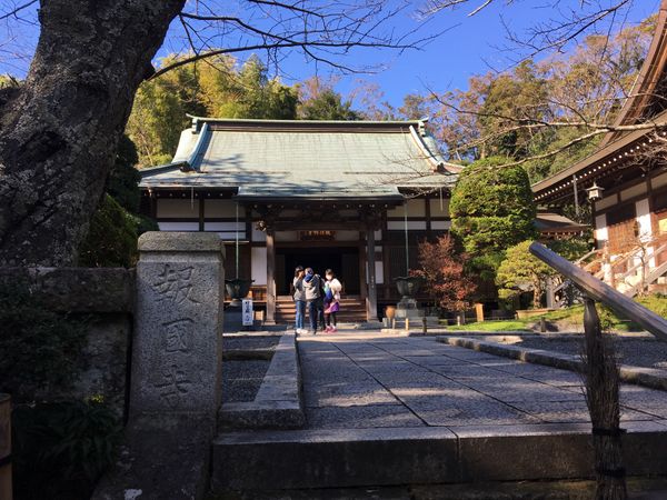 日本・神奈川県「鎌倉  江ノ電」の写真