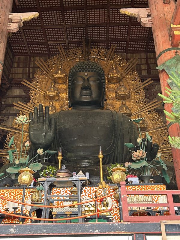 日本・奈良市「大人の遠足　奈良」の写真：東大寺大仏