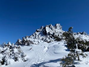 相方に誘われて北横岳登山
寒いし疲れました。