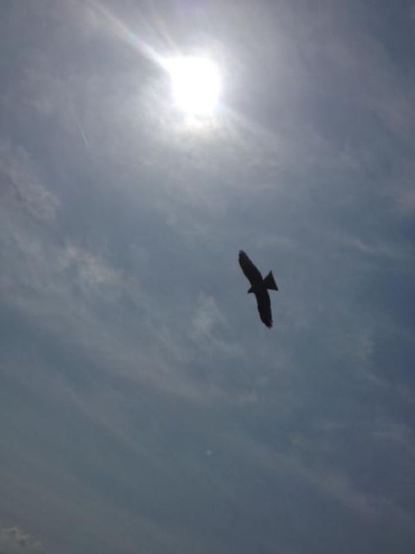 日本・石川県「日本海側旅行」の写真