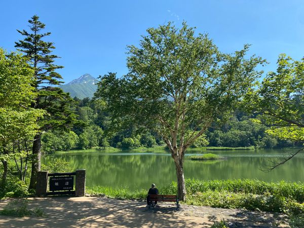 日本・北海道「礼文島＆利尻島🏝️」の写真：午後からはレンタカーを借りて、定番のコー...