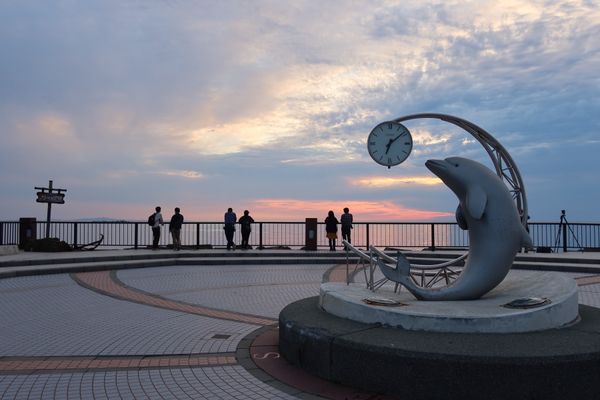 日本・北海道「礼文島＆利尻島🏝️」の写真：稚内港から朝イチ（6:30）のフェリーで...