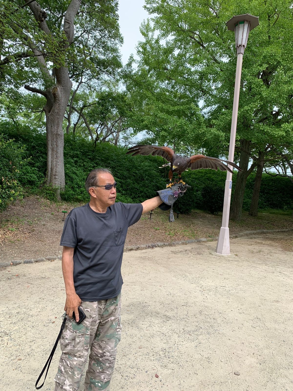 大阪城に鷹匠がいた‼️