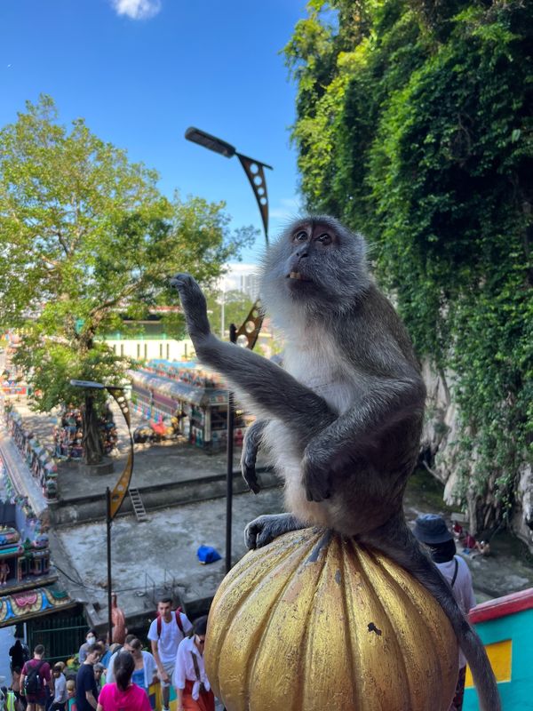 マレーシア・マラッカ「KUL✈︎」の写真