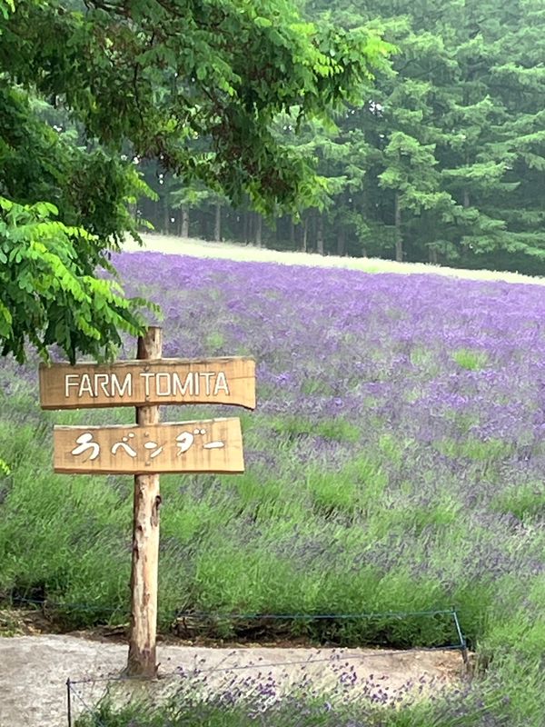 「北海道」の写真