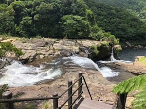 5日目！