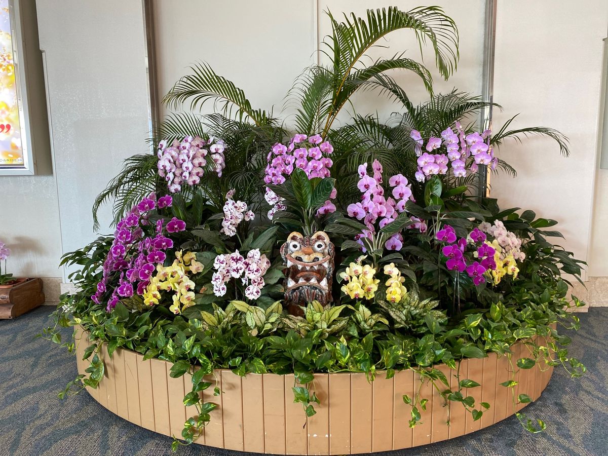 いつでも笑顔で歯を見せるシーサーに出迎えられて、とりあえずのオリオンビール。