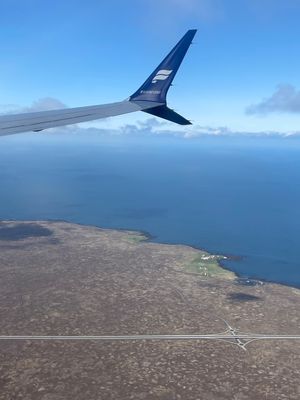 向かう飛行機は天気が良くて景色がよく見えた。