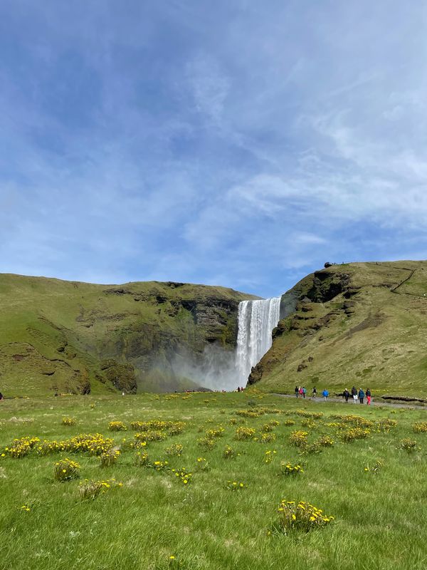 アイスランド「アイスランド夏」の写真