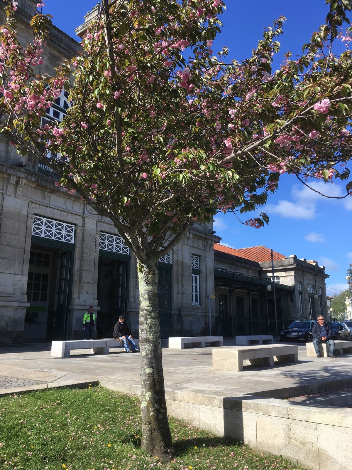 ビアナドカステロ。
山頂の教会から街を望む。
駅前、のんびりとした街。