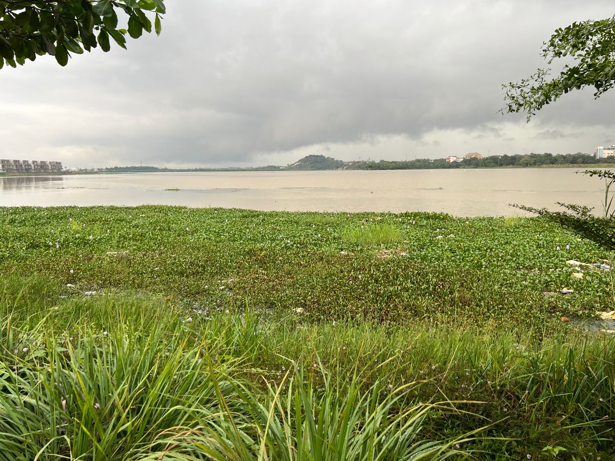 アブジャの小さな湖