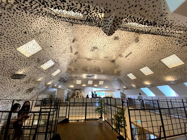 日本・滋賀県「滋賀観光」の写真