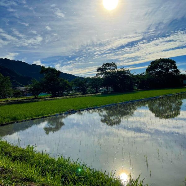 日本・静岡県「Jul. 2023  静岡」の写真