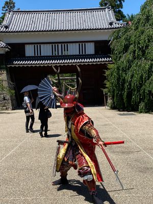 高崎から長野新幹線🚄で上田へ。上田電鉄乗車し、生島足島神社参拝。上田城址で...