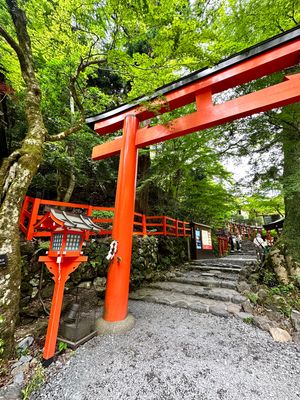 貴船神社⛩️奥の宮まで参拝して
大好きな阿闍梨餅買って旅終了。