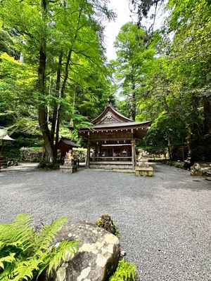 貴船神社⛩️奥の宮まで参拝して
大好きな阿闍梨餅買って旅終了。