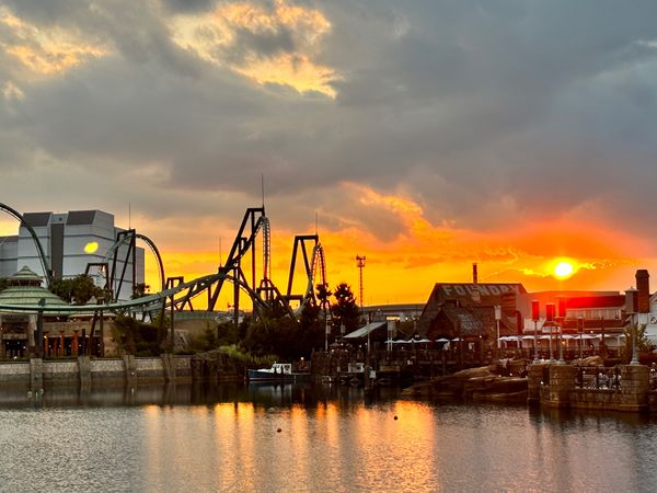 日本・京都府「ユニバと京都」の写真：初めてのバタービール🍻途中で飽きたw

...
