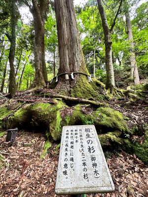 貴船神社⛩️奥の宮まで参拝して
大好きな阿闍梨餅買って旅終了。