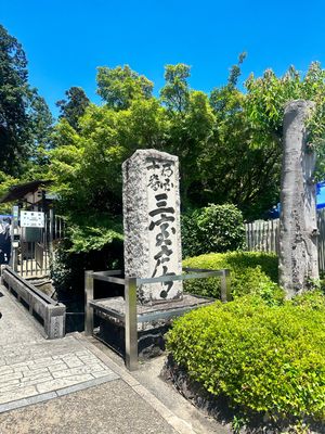 京都へ移動

三室戸寺
紫陽花寺🏵️残念ながら見頃は過ぎて、見たかった階段...