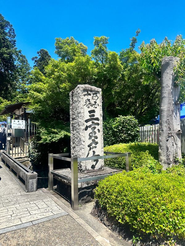 日本・京都府「ユニバと京都」の写真：京都へ移動

三室戸寺
紫陽花寺🏵️残念...