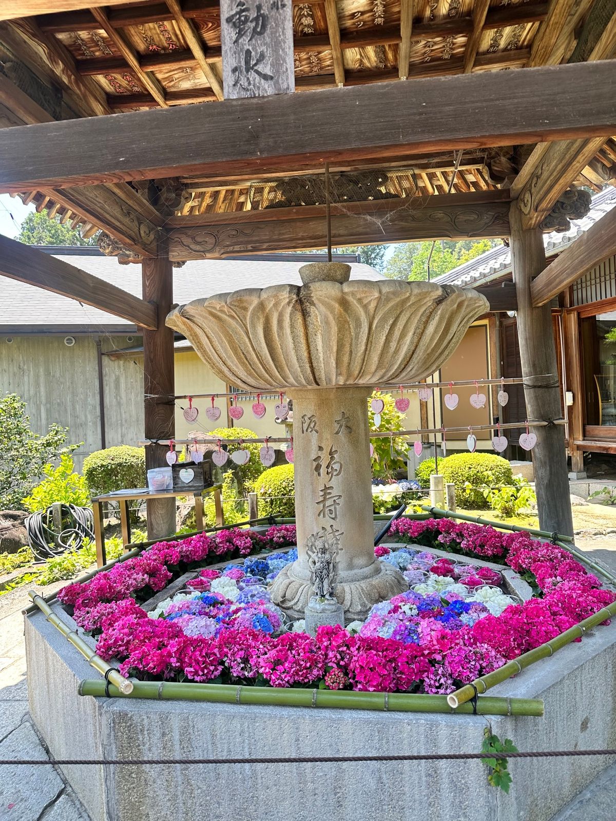 京都へ移動

三室戸寺
紫陽花寺🏵️残念ながら見頃は過ぎて、見たかった階段...