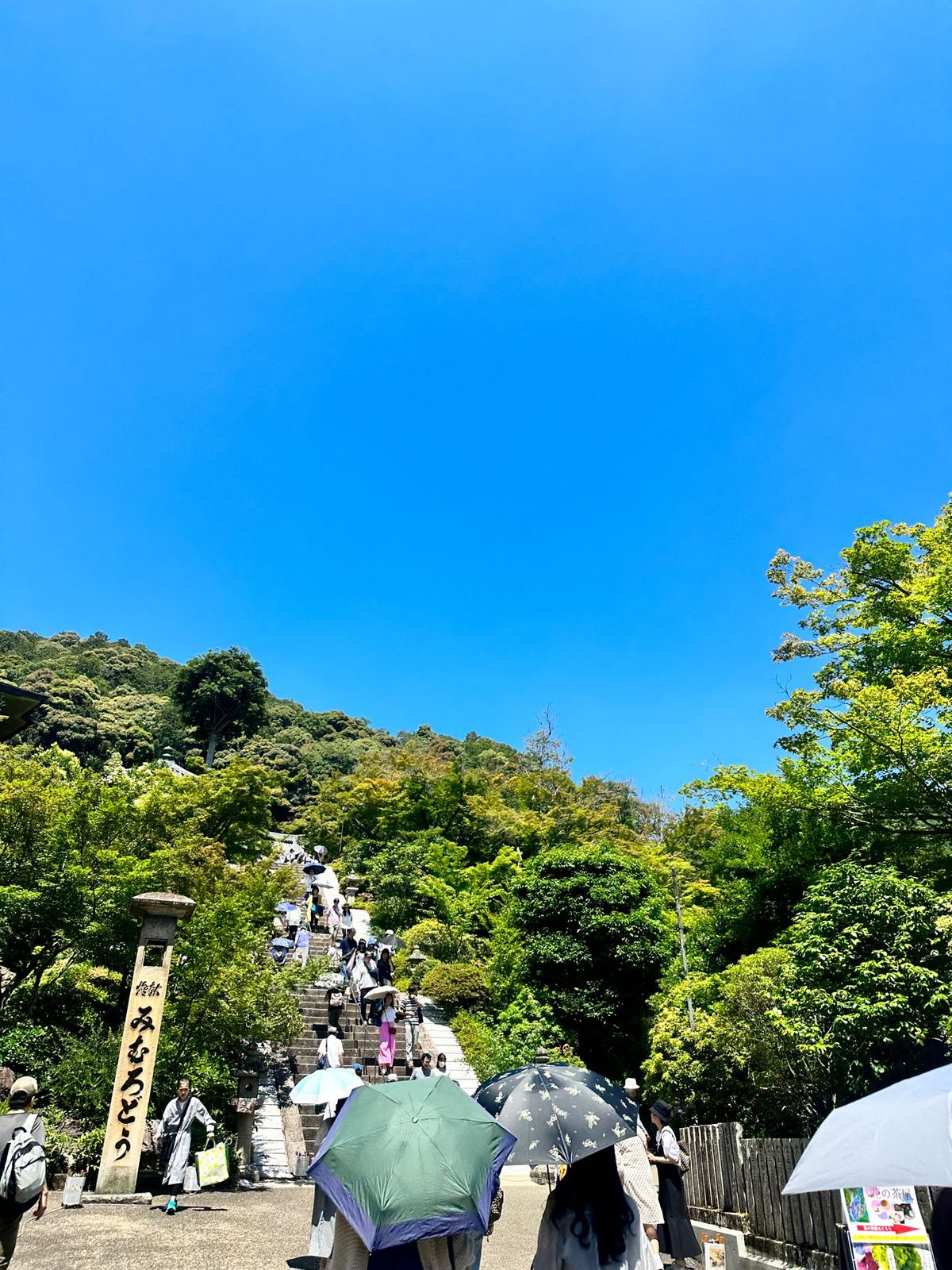 京都へ移動

三室戸寺
紫陽花寺🏵️残念ながら見頃は過ぎて、見たかった階段...