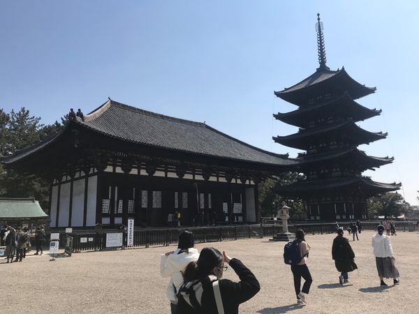 日本・奈良県「奈良公園」の写真
