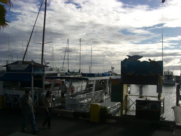 アメリカ(米国)・ハワイ「ハワイ社員旅行」の写真