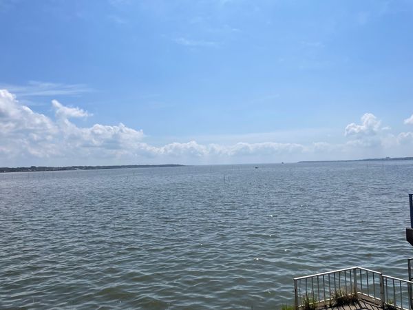 日本・茨城県「霞ヶ浦一周チャレンジ」の写真