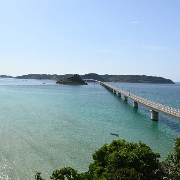 日本・山口市「山口旅行」の写真