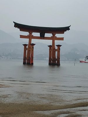 生憎の雨模様。
安芸の宮島は寒かった。