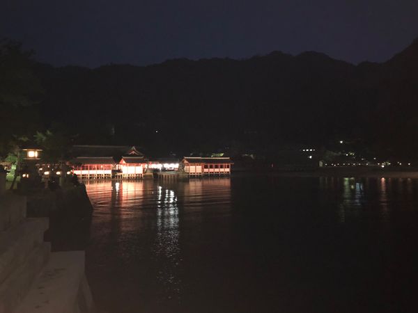 日本・厳島神社「世界遺産🌍広島旅行」の写真：夜の宮島。