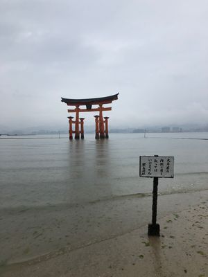 生憎の雨模様。
安芸の宮島は寒かった。