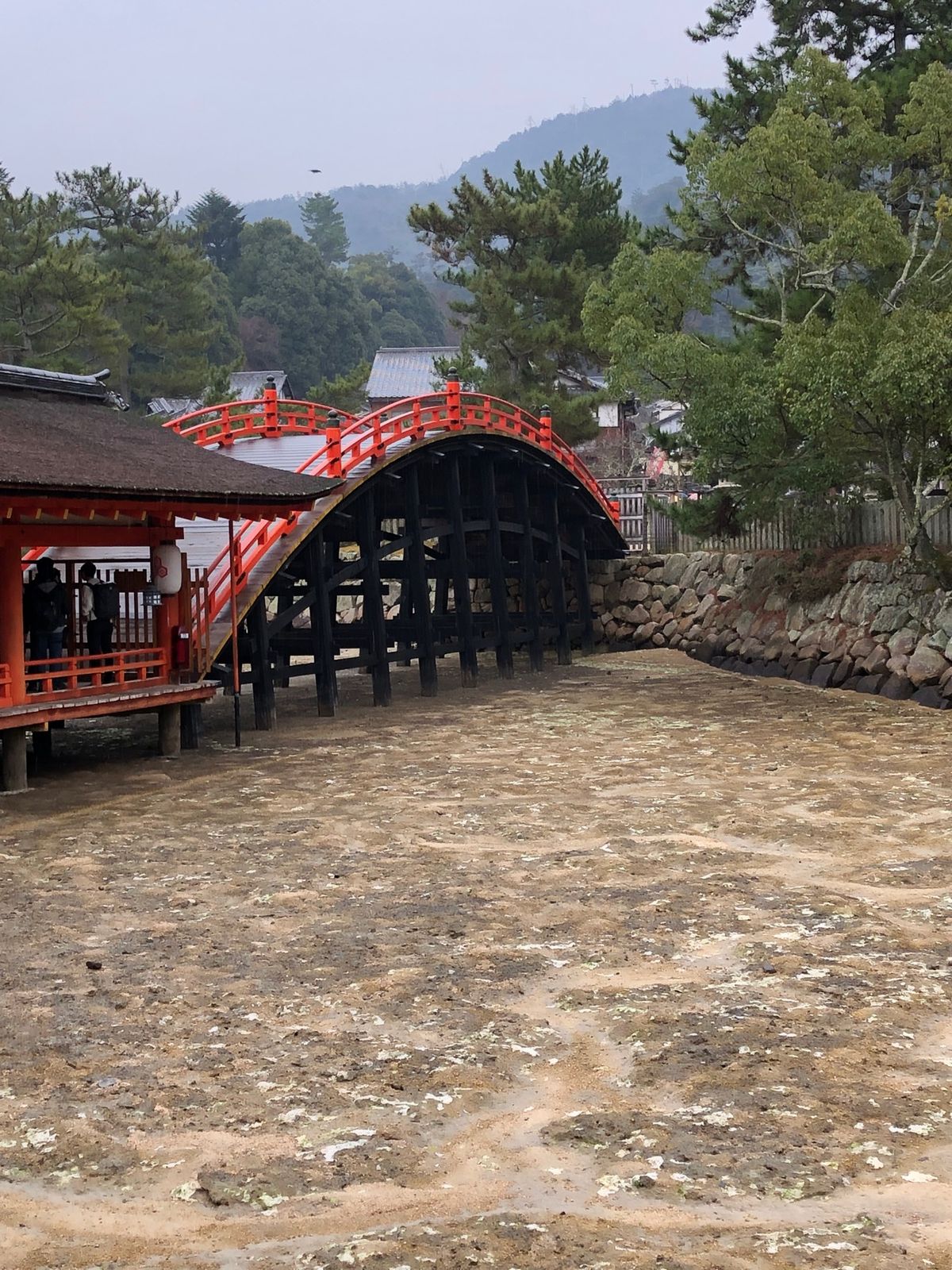 生憎の雨模様。
安芸の宮島は寒かった。