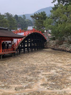 生憎の雨模様。
安芸の宮島は寒かった。