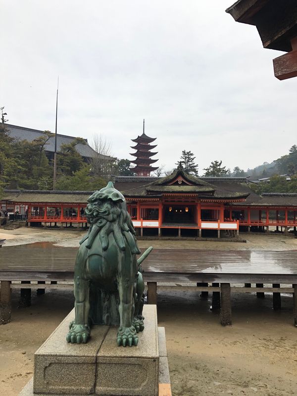 日本・厳島神社「世界遺産🌍広島旅行」の写真