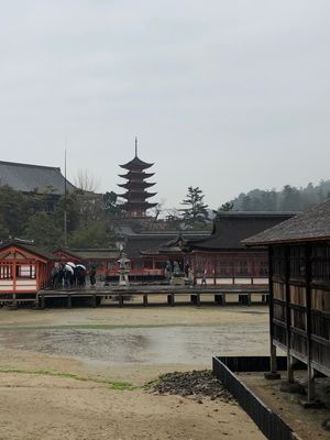 生憎の雨模様。
安芸の宮島は寒かった。