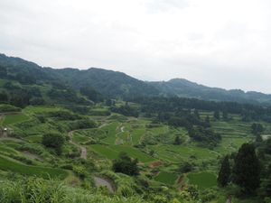 奇跡の晴れ間の星峠。
絶景。