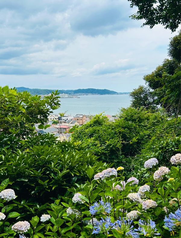 日本・神奈川県「長谷寺〜江ノ島　日帰り旅」の写真