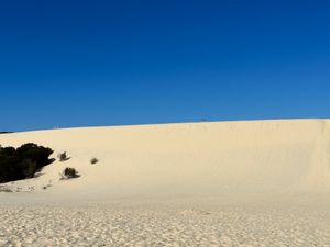 モートン島、タンガルーマアイランドリゾート。