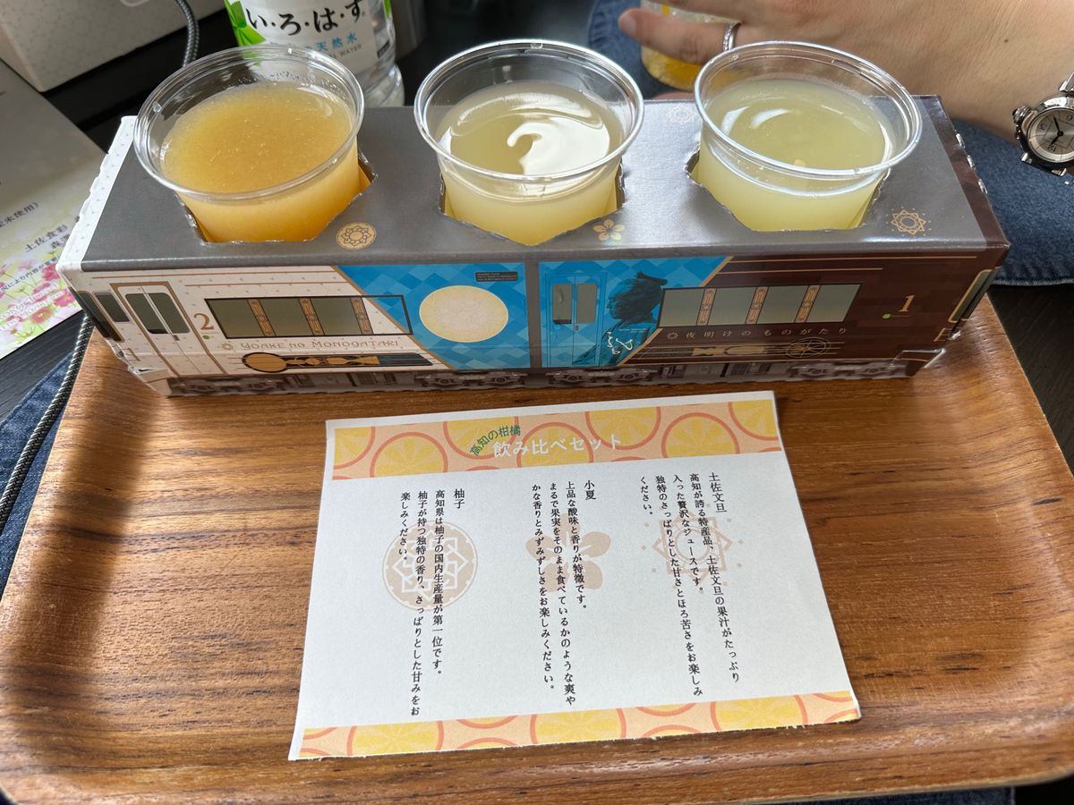 志国土佐 時代の夜明けのものがたり