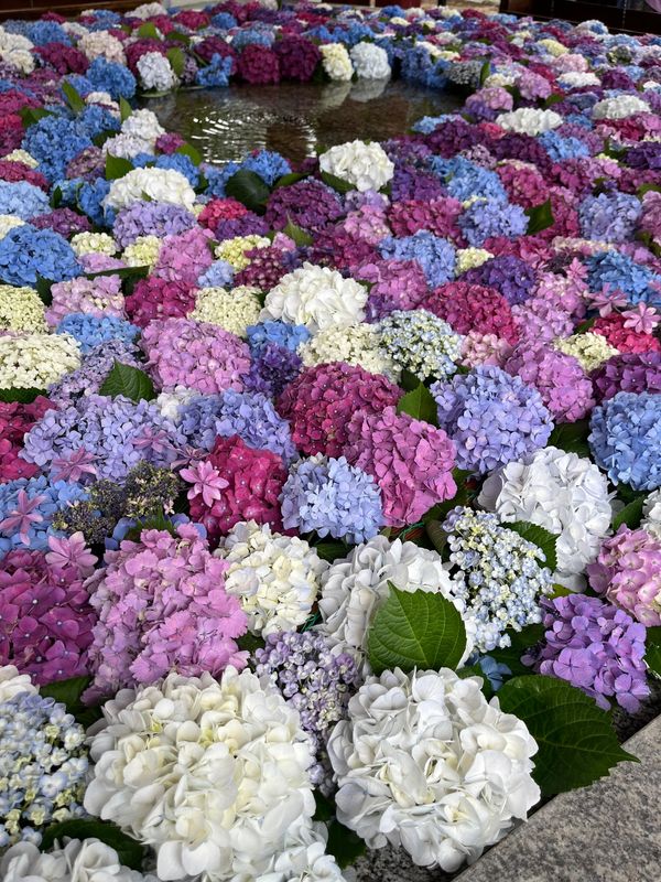 日本・太宰府天満宮「太宰府天満宮🇯🇵」の写真