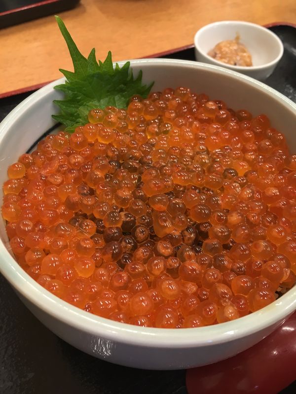 日本・北海道「北海道　函館🇯🇵」の写真