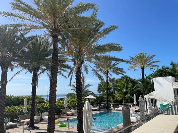 アメリカ(米国)「Miami, FL」の写真