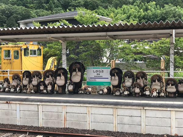 日本・京都府「京都・大阪旅行」の写真